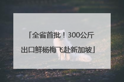 全省首批！300公斤出口鲜杨梅飞赴新加坡