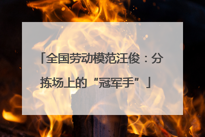 全国劳动模范汪俊：分拣场上的“冠军手”