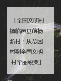 全国文明村镇临邑县前杨新村：从贫困村到全国文明村华丽蜕变