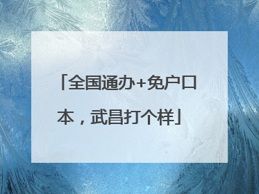 全国通办+免户口本，武昌打个样