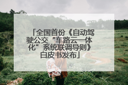 全国首份《自动驾驶公交“车路云一体化”系统联调导则》白皮书发布