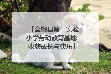 全椒县第二实验小学劳动教育基地收获成长与快乐