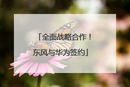 全面战略合作！东风与华为签约