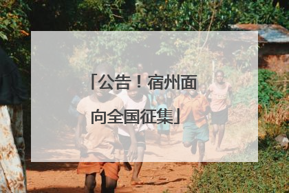 公告！宿州面向全国征集