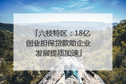 六枝特区：18亿创业担保贷款助企业发展提质加速