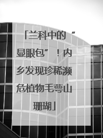 兰科中的“显眼包”！内乡发现珍稀濒危植物毛萼山珊瑚
