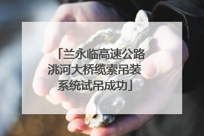 兰永临高速公路洮河大桥缆索吊装系统试吊成功