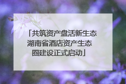 共筑资产盘活新生态 湖南省酒店资产生态圈建设正式启动