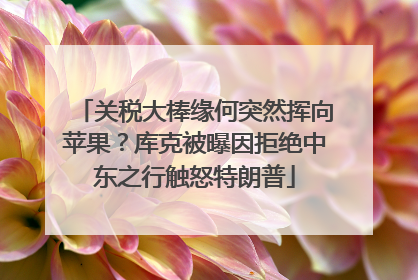 关税大棒缘何突然挥向苹果？库克被曝因拒绝中东之行触怒特朗普
