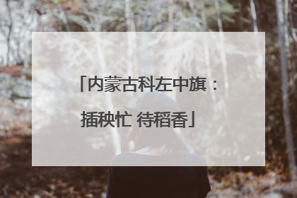 内蒙古科左中旗：插秧忙 待稻香