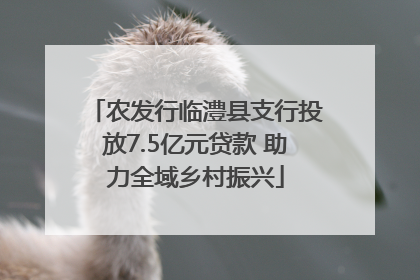 农发行临澧县支行投放7.5亿元贷款 助力全域乡村振兴