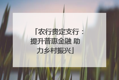 农行贵定支行：提升普惠金融 助力乡村振兴