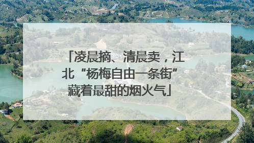 凌晨摘、清晨卖，江北“杨梅自由一条街”藏着最甜的烟火气