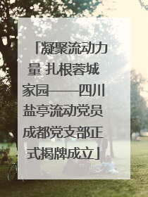 凝聚流动力量 扎根蓉城家园——四川盐亭流动党员成都党支部正式揭牌成立