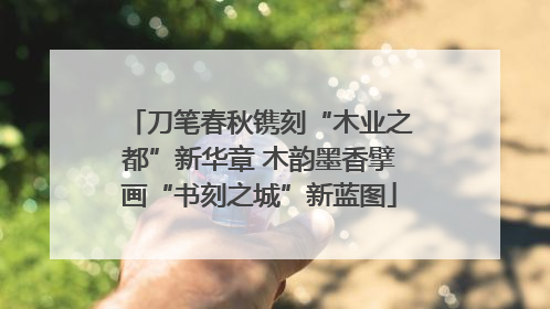 刀笔春秋镌刻“木业之都”新华章 木韵墨香擘画“书刻之城”新蓝图