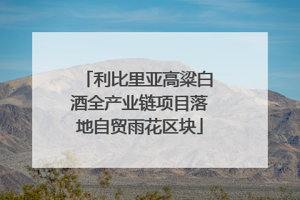 利比里亚高粱白酒全产业链项目落地自贸雨花区块