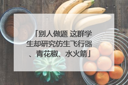 别人做题 这群学生却研究仿生飞行器、青花椒、水火箭