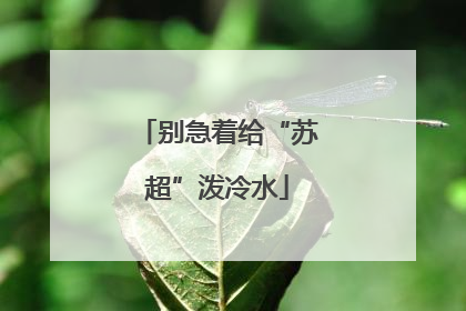 别急着给“苏超”泼冷水
