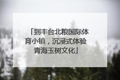 到丰台北粮国际体育小镇，沉浸式体验青海玉树文化