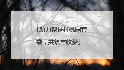 助力帮扶村桃园套袋，共筑丰收梦