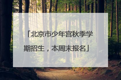 北京市少年宫秋季学期招生，本周末报名