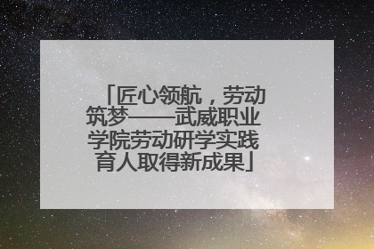 匠心领航，劳动筑梦——武威职业学院劳动研学实践育人取得新成果