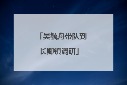 吴毓舟带队到长卿镇调研