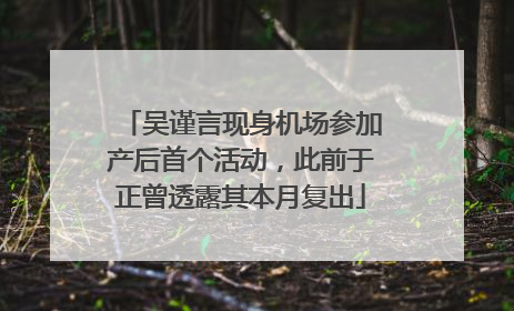 吴谨言现身机场参加产后首个活动，此前于正曾透露其本月复出