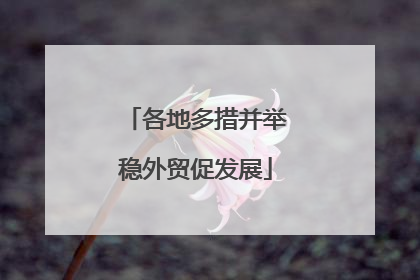 各地多措并举稳外贸促发展