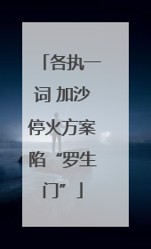 各执一词 加沙停火方案陷“罗生门”