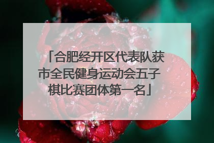 合肥经开区代表队获市全民健身运动会五子棋比赛团体第一名