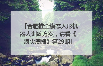 合肥推全模态人形机器人训练方案，请看《浪尖周报》第29期
