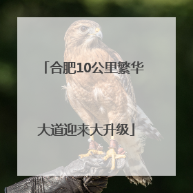 合肥10公里繁华大道迎来大升级