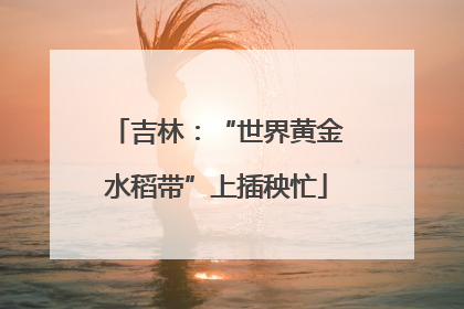 吉林：“世界黄金水稻带”上插秧忙