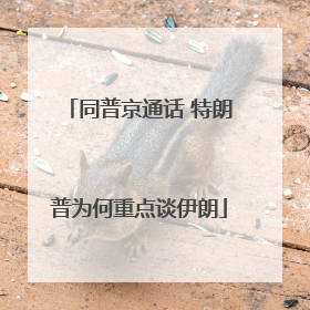 同普京通话 特朗普为何重点谈伊朗
