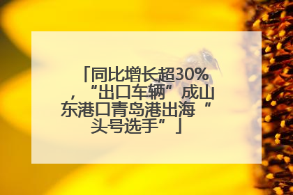 同比增长超30%，“出口车辆”成山东港口青岛港出海“头号选手”