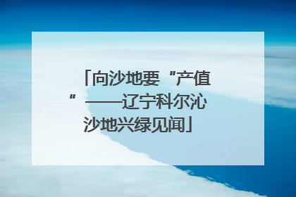 向沙地要“产值”——辽宁科尔沁沙地兴绿见闻