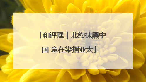 和评理｜北约抹黑中国 意在染指亚太