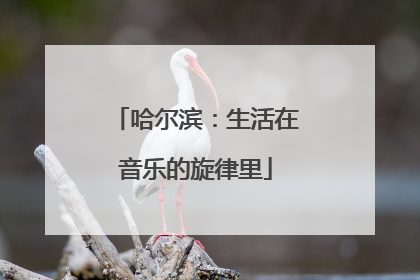 哈尔滨：生活在音乐的旋律里