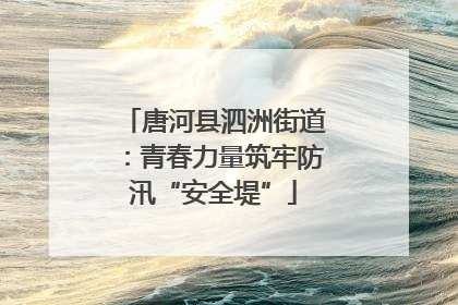 唐河县泗洲街道：青春力量筑牢防汛“安全堤”