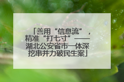 善用“信息流”，精准“打七寸”——湖北公安省市一体深挖串并力破民生案