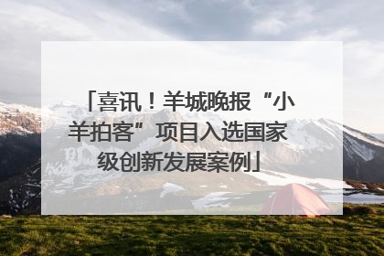 喜讯！羊城晚报“小羊拍客”项目入选国家级创新发展案例