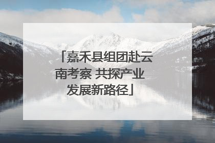 嘉禾县组团赴云南考察 共探产业发展新路径
