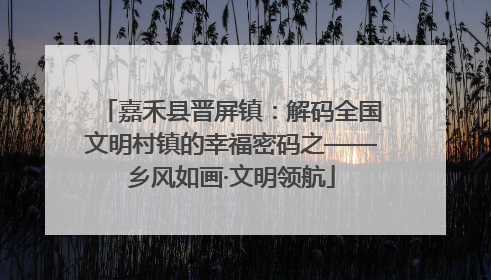 嘉禾县晋屏镇：解码全国文明村镇的幸福密码之——乡风如画·文明领航