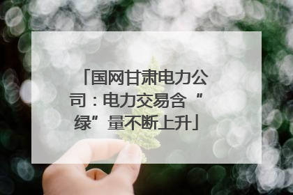 国网甘肃电力公司：电力交易含“绿”量不断上升