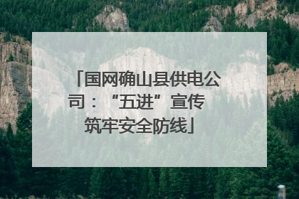 国网确山县供电公司：“五进”宣传 筑牢安全防线