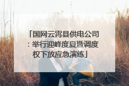 国网云霄县供电公司：举行迎峰度夏暨调度权下放应急演练