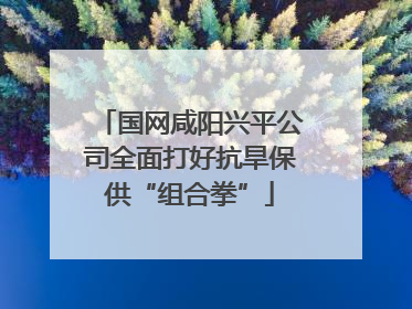 国网咸阳兴平公司全面打好抗旱保供“组合拳”