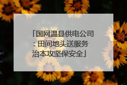 国网温县供电公司：田间地头送服务 治本攻坚保安全