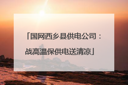 国网西乡县供电公司：战高温保供电送清凉